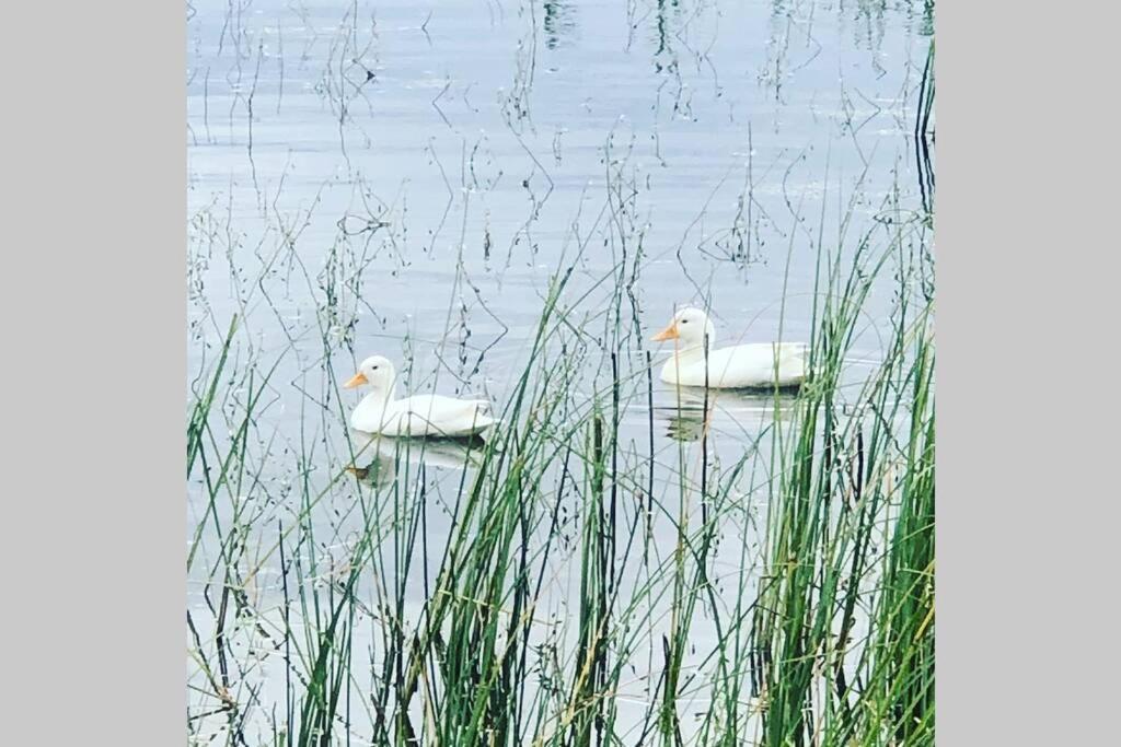 Sommarstugan Aspered Exteriör bild